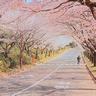 国内短视频平台